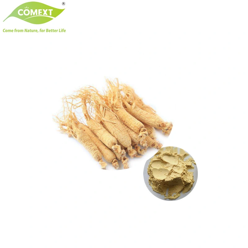 Comext Wholesale Natural Customized Panax Ginseng Immunity Improved Ginseng Extract